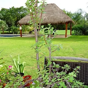 Mom's House Couette-café Puerto Aventuras